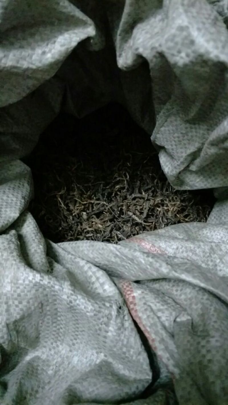 普洱茶一级