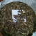 普洱茶一级