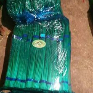 热卖金乡红毛蒜薹精品30~40厘米基地直供商超品质
