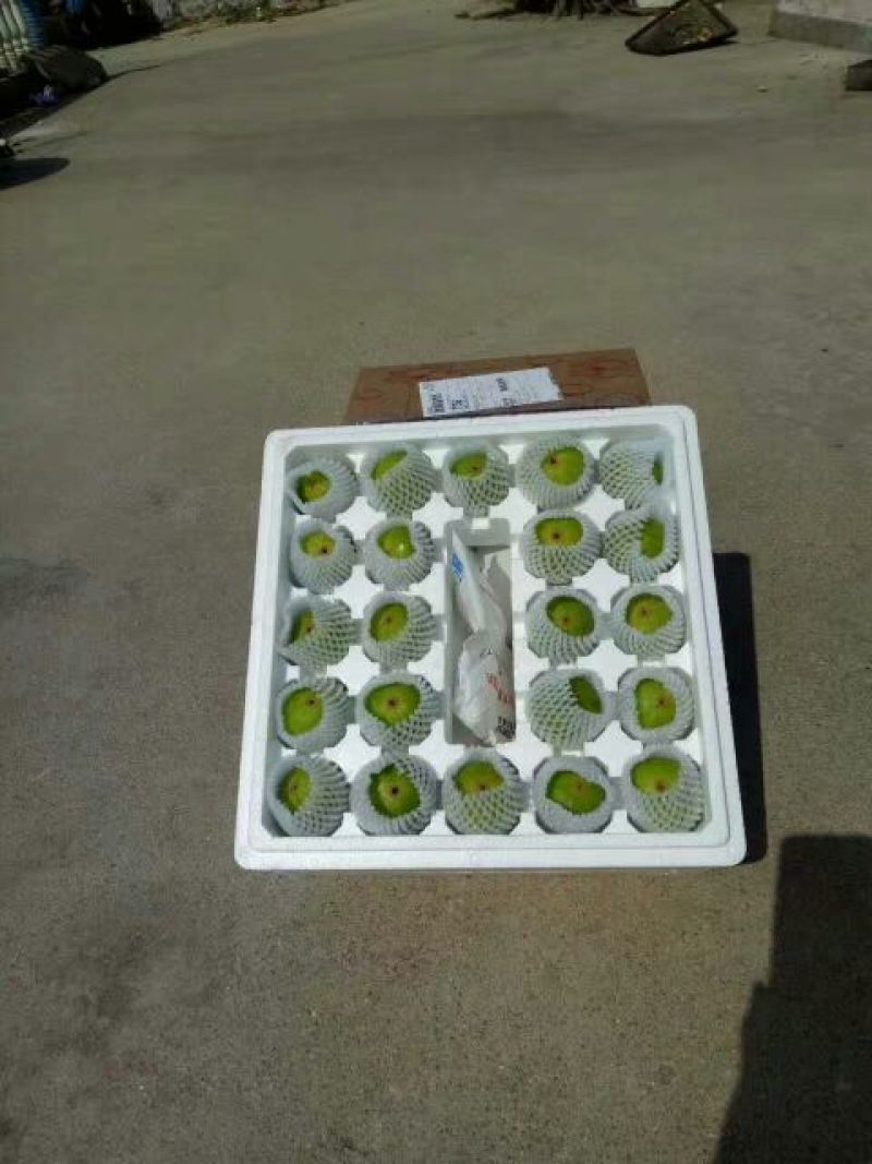 胶东春果布兰瑞克黄皮和青皮无花果鲜果，产地直发！