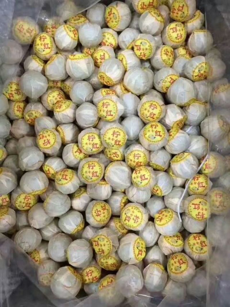 柑普茶特级