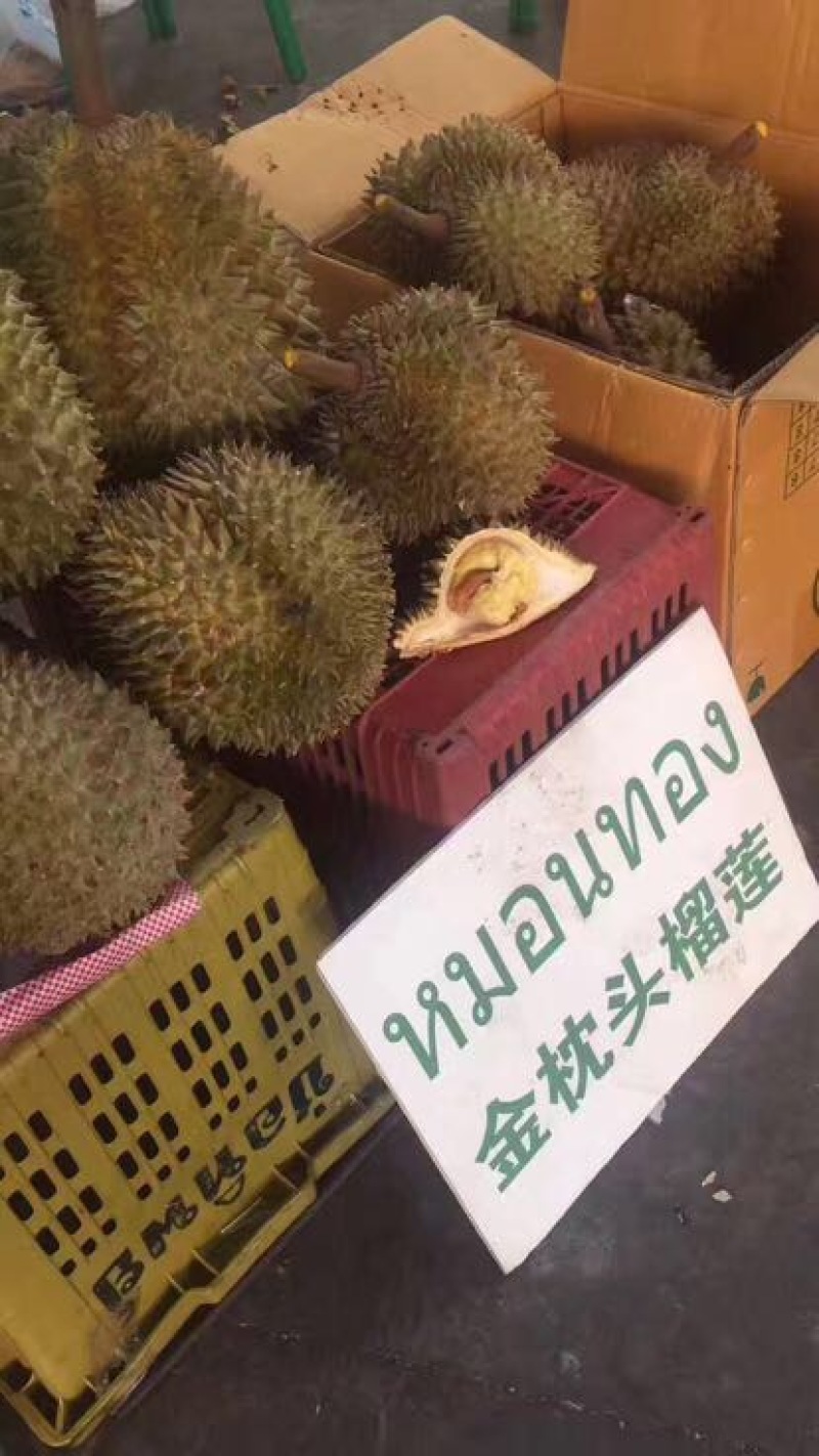 金枕头榴莲5~8斤