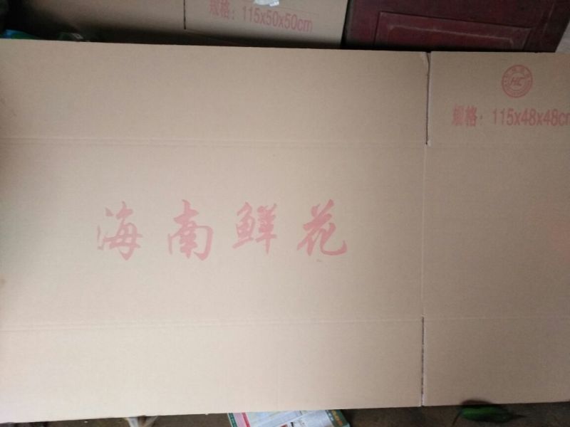 红竹焦，红竹，产地直销，视频看货
