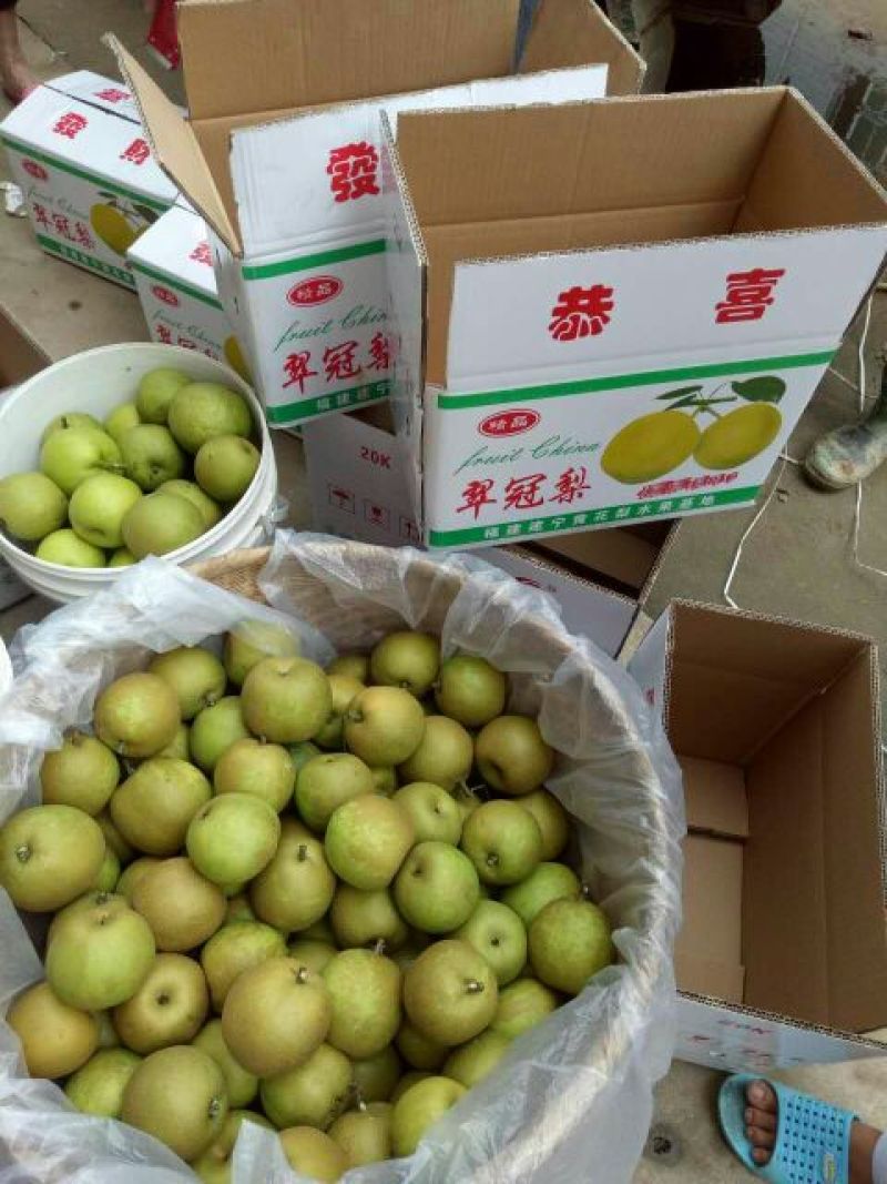 翠冠梨纸箱150~200g
