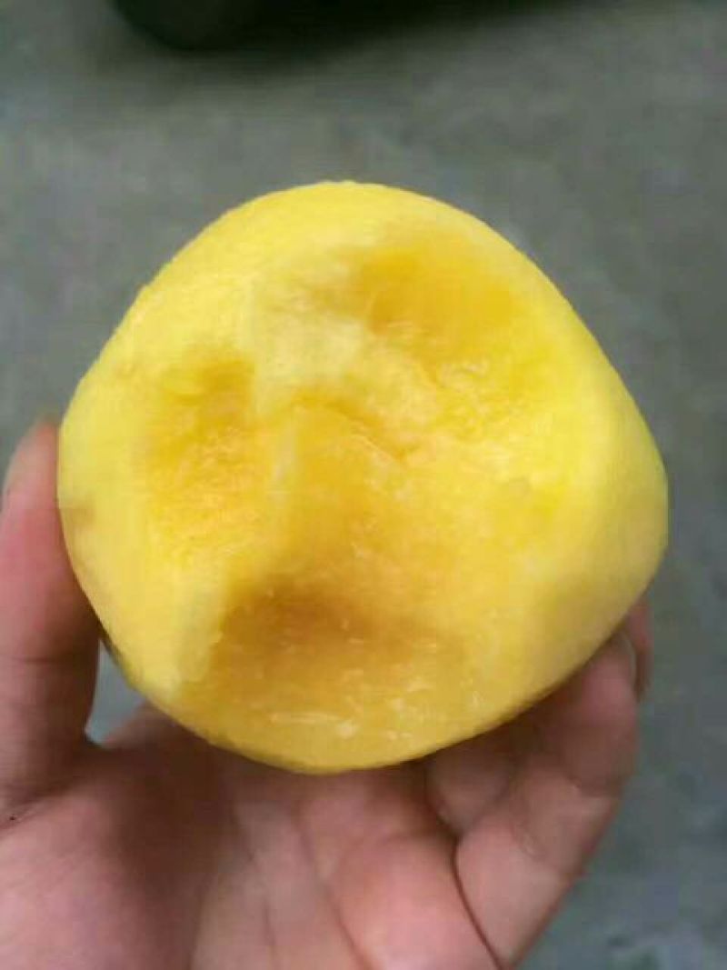 锦绣黄桃3~4两