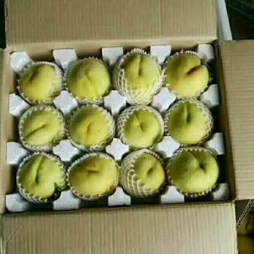 锦绣黄桃3~4两