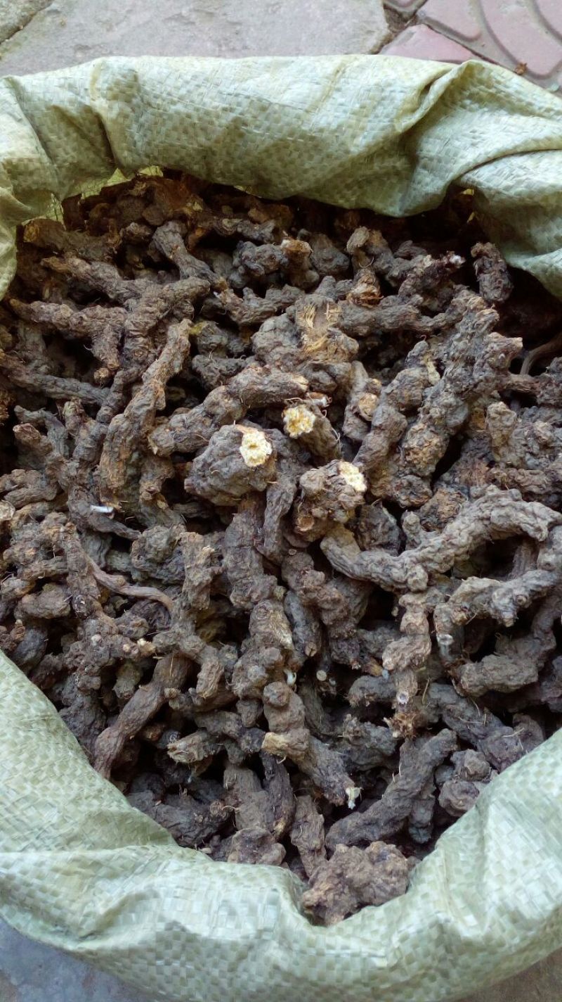 苍术南苍术(野生南苍术)朱砂点多、味浓，产地直销