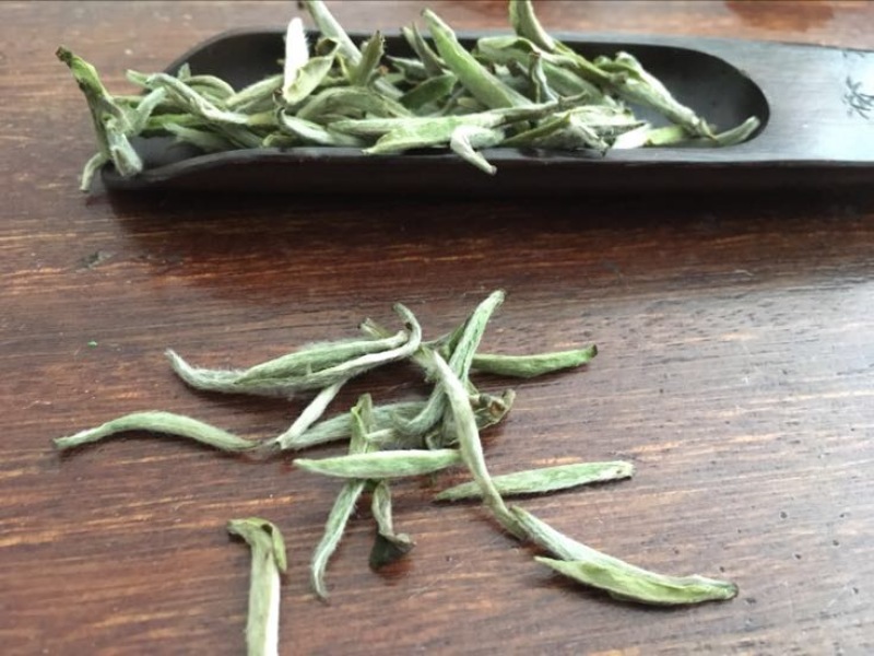 福鼎白茶特级