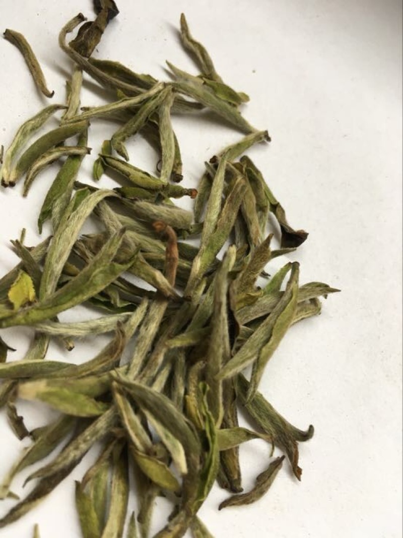 福鼎白茶特级
