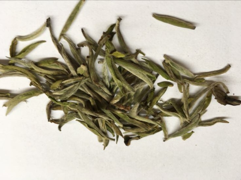 福鼎白茶特级