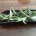 福鼎白茶特级