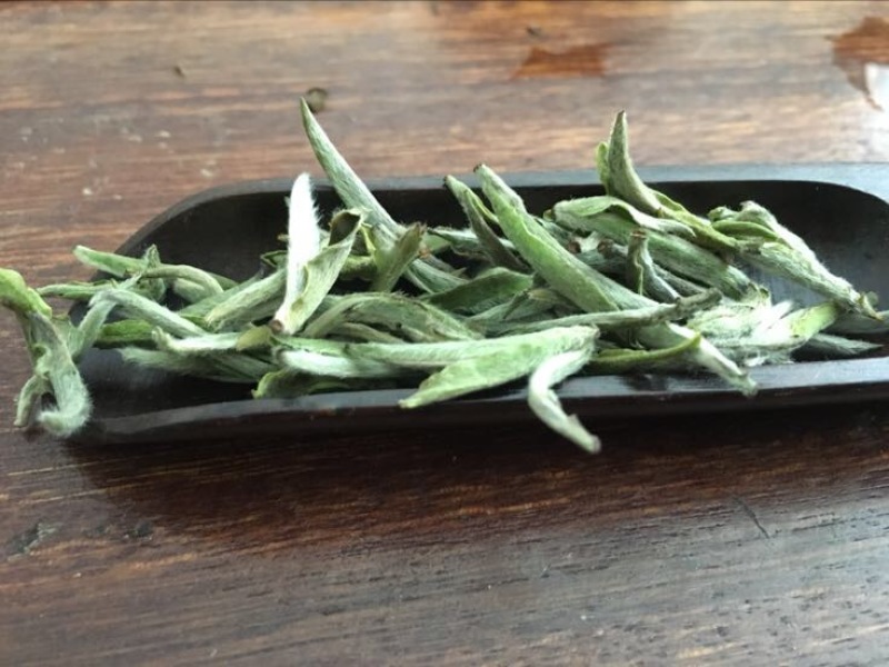 福鼎白茶特级