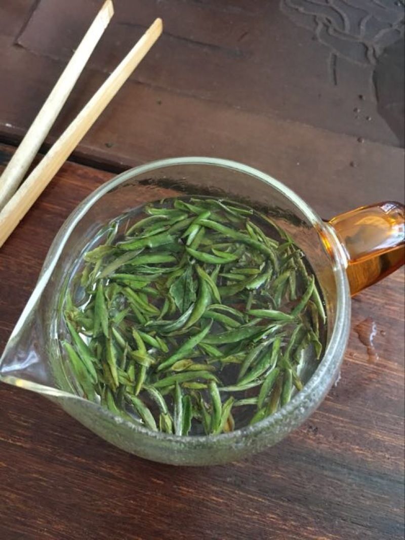 福鼎白茶特级