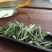 福鼎白茶特级