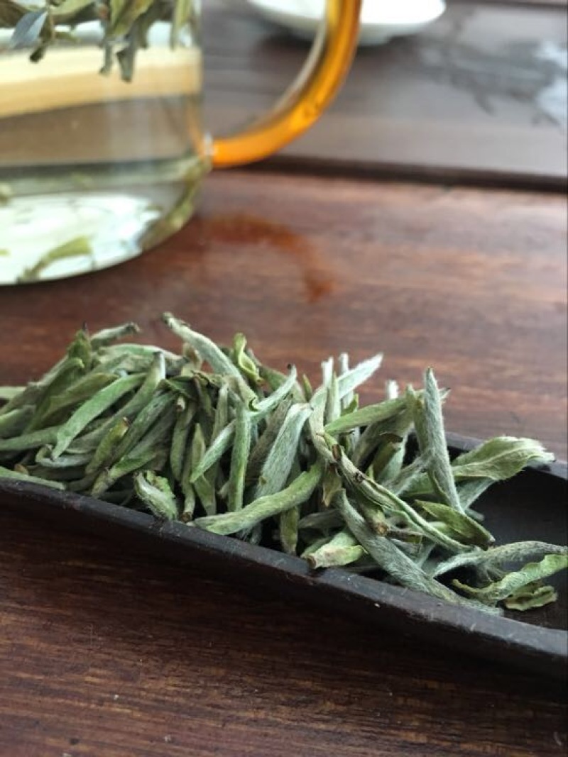 福鼎白茶特级