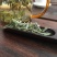 福鼎白茶特级