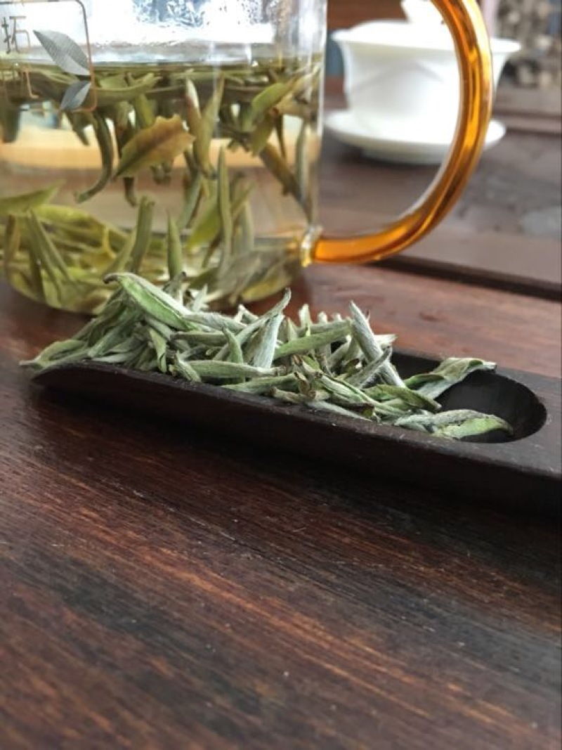 福鼎白茶特级