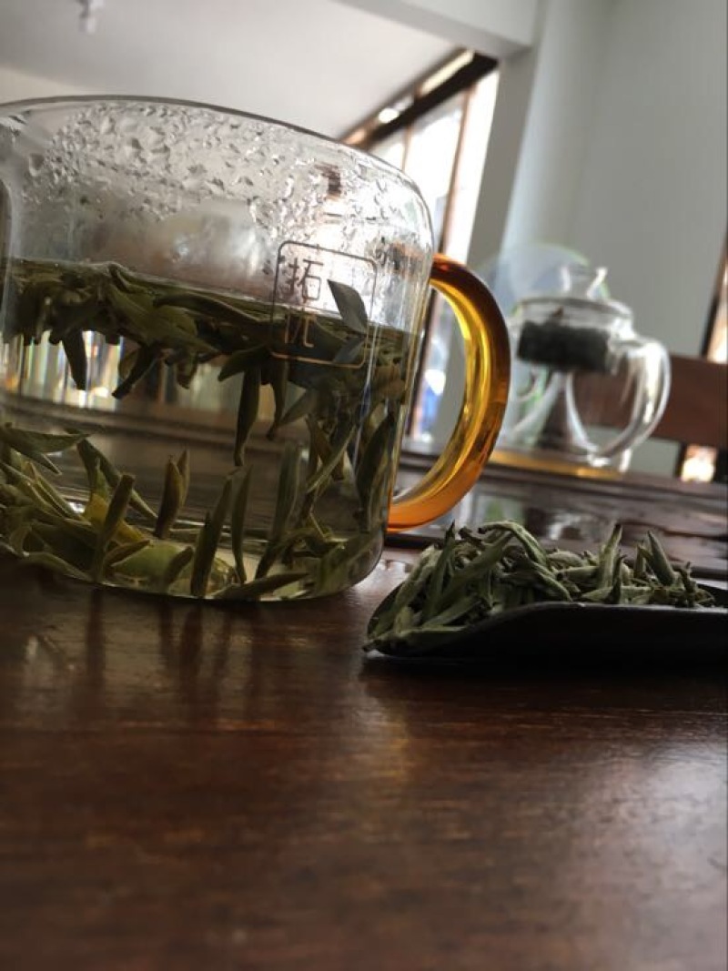 福鼎白茶特级