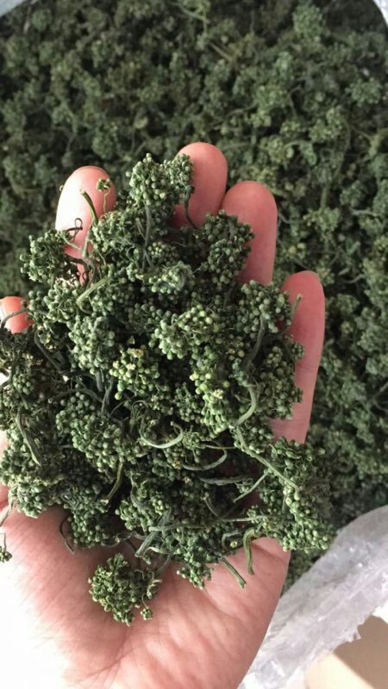 人参花包邮长白山6年大花产地批发