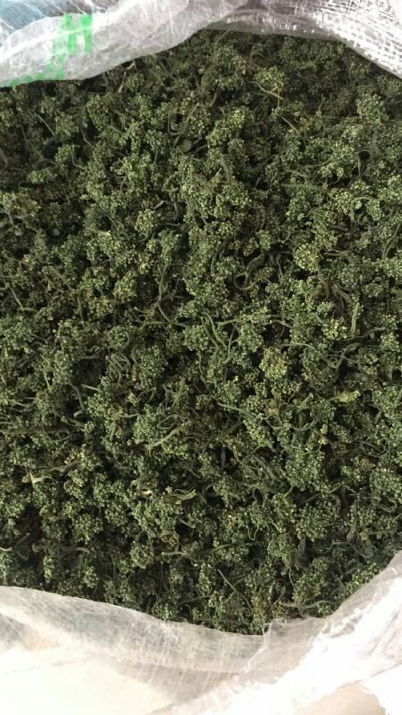 人参花包邮长白山6年大花产地批发