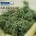 人参花包邮长白山6年大花产地批发