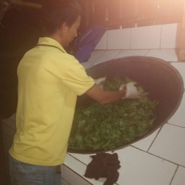 普洱茶四级