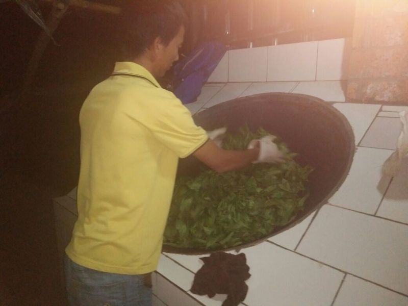 普洱茶四级