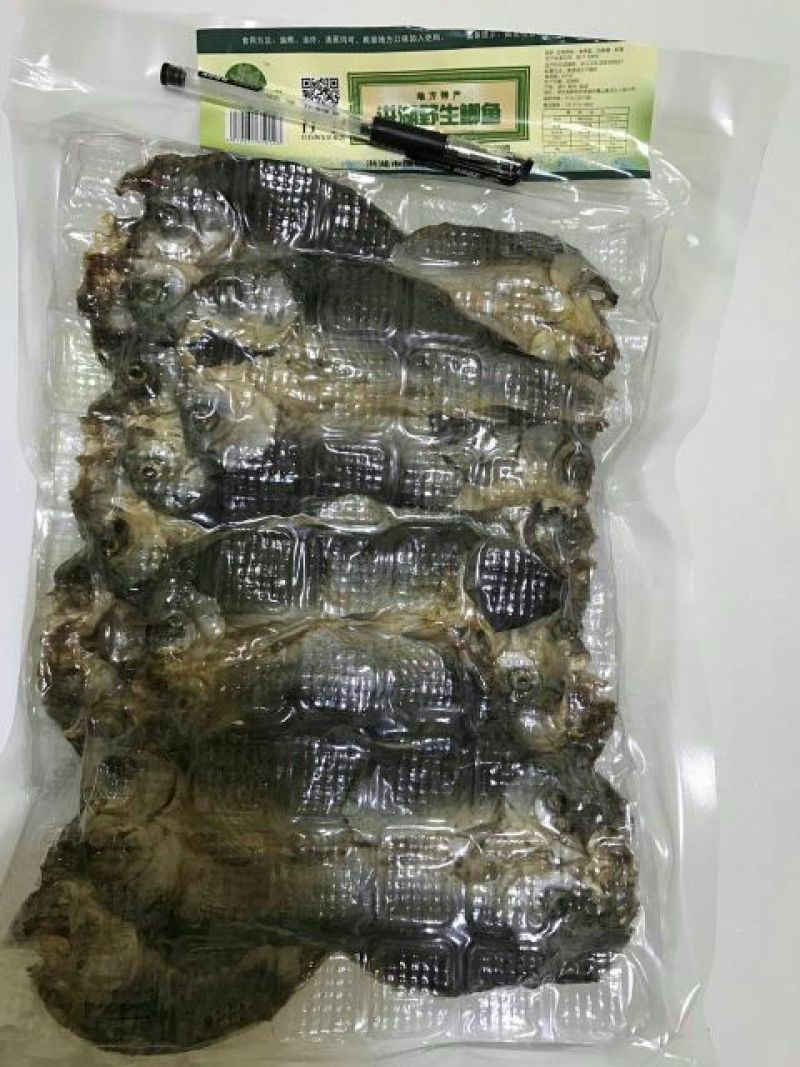 白鲫