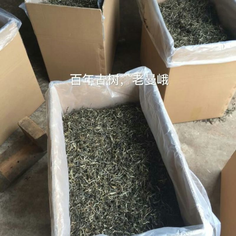普洱茶一级