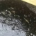 黑鱼1~2斤
