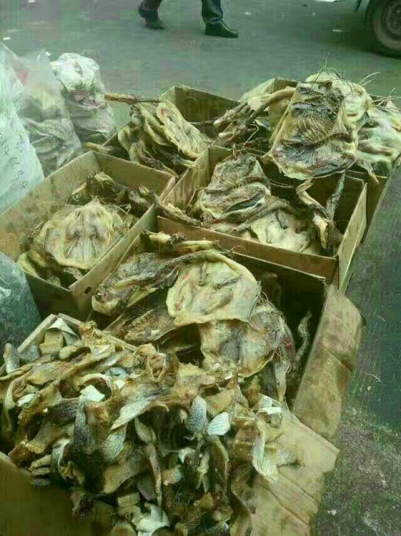 腊鸭纯绿色产品无添加剂