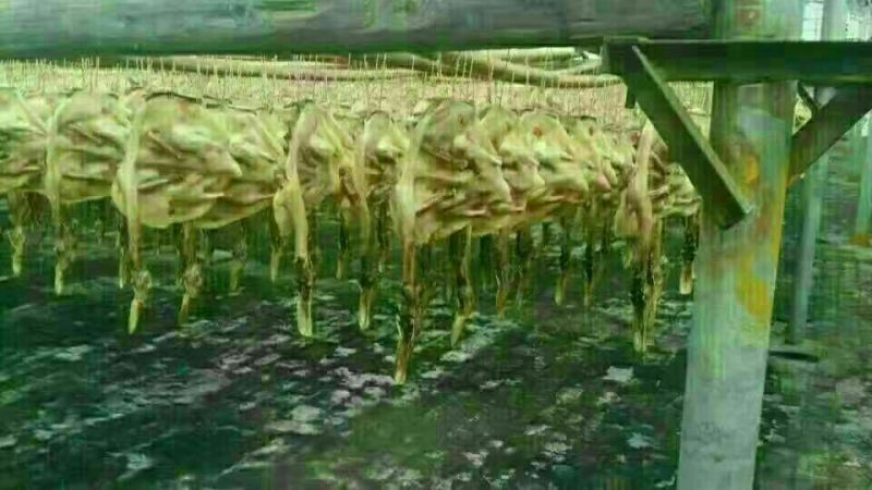 腊鸭纯绿色产品无添加剂