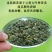 绿茶云南绿茶碧螺春木桶装