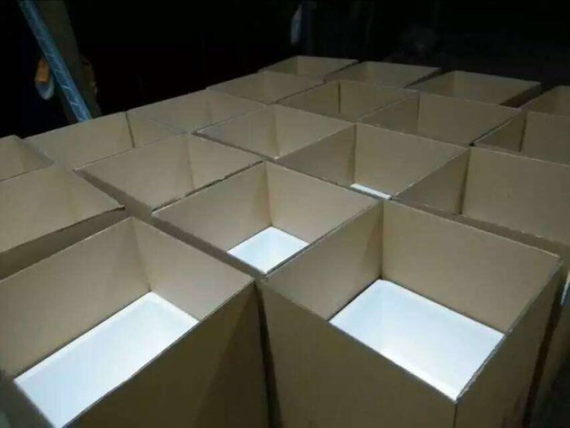 黄颡鱼苗黄骨鱼苗杂交黄颡鱼苗黄腊丁黄鸭叫鱼苗