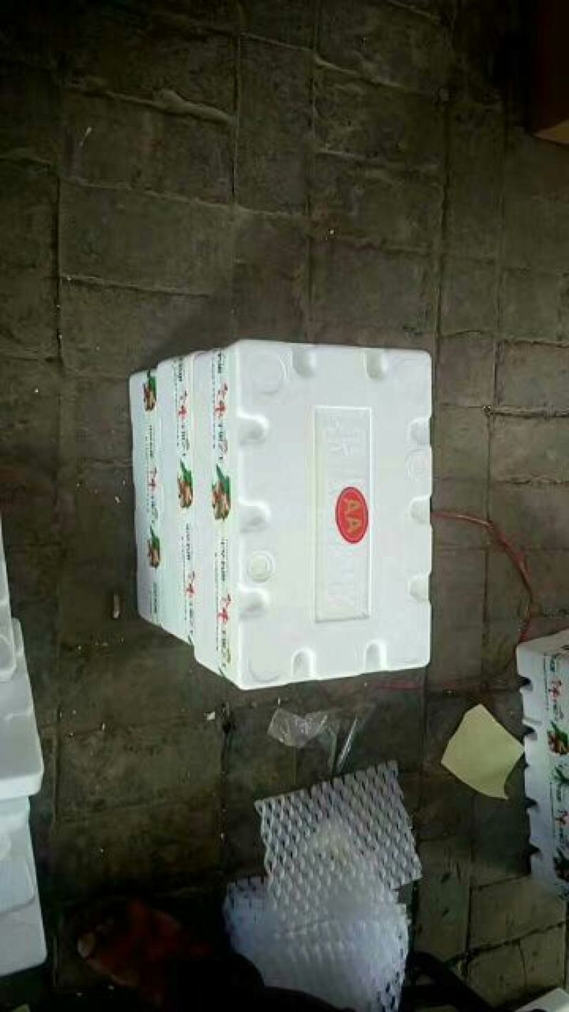 冬枣拐二