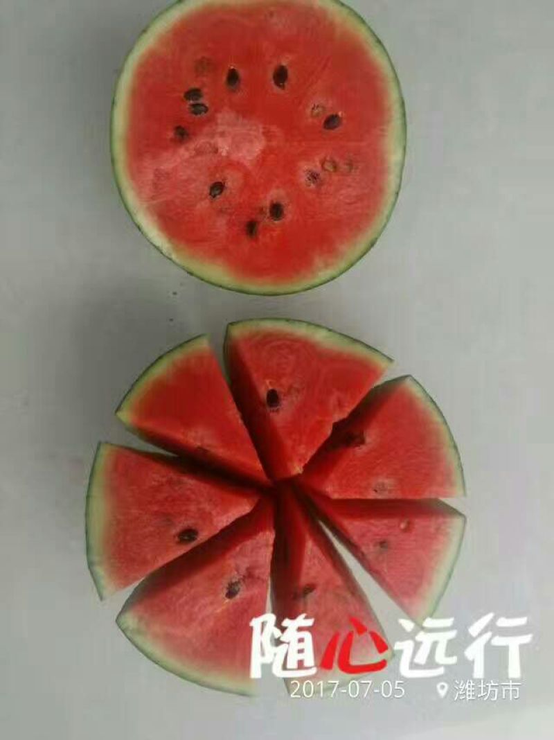 全美2k西瓜2K小吊瓜牛小爆瓜小糖丸西瓜手掰小西瓜冰糖籽