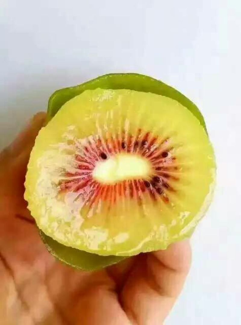 红心猕猴桃