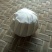 普洱茶一级