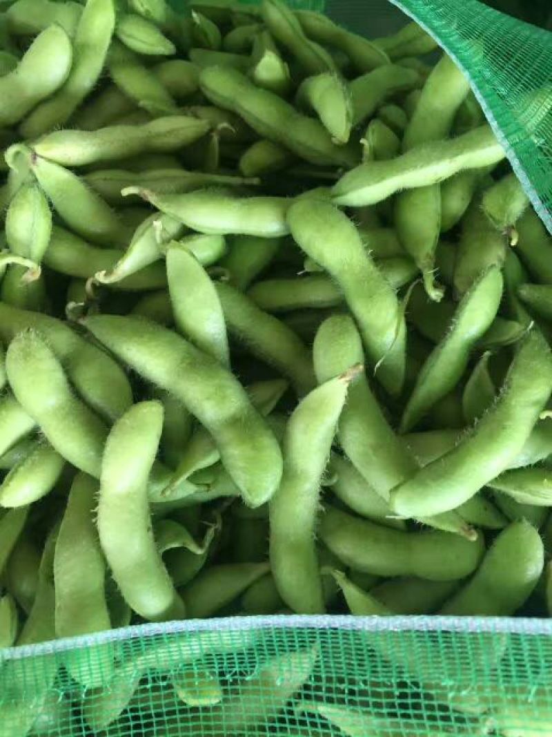 毛豆绿宝石