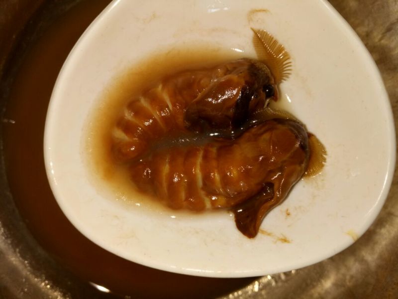 原蚕蛾雄