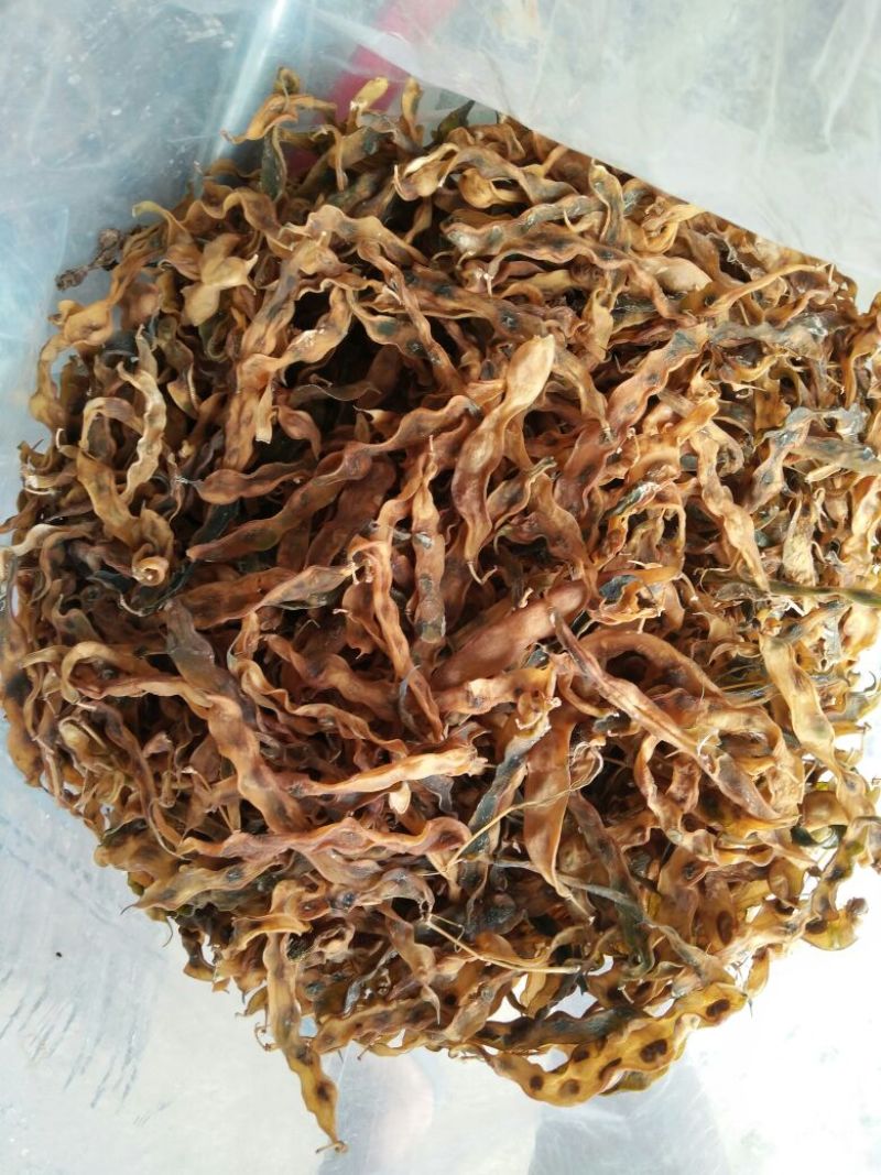 脱水长豆角