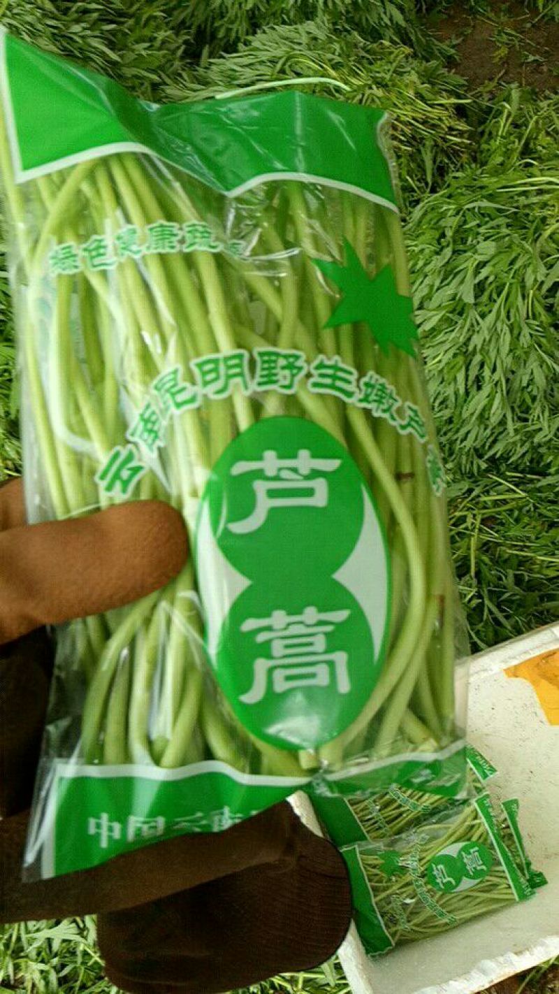 精品芦篙，色泽、嫩度包您满意！欢迎选购！