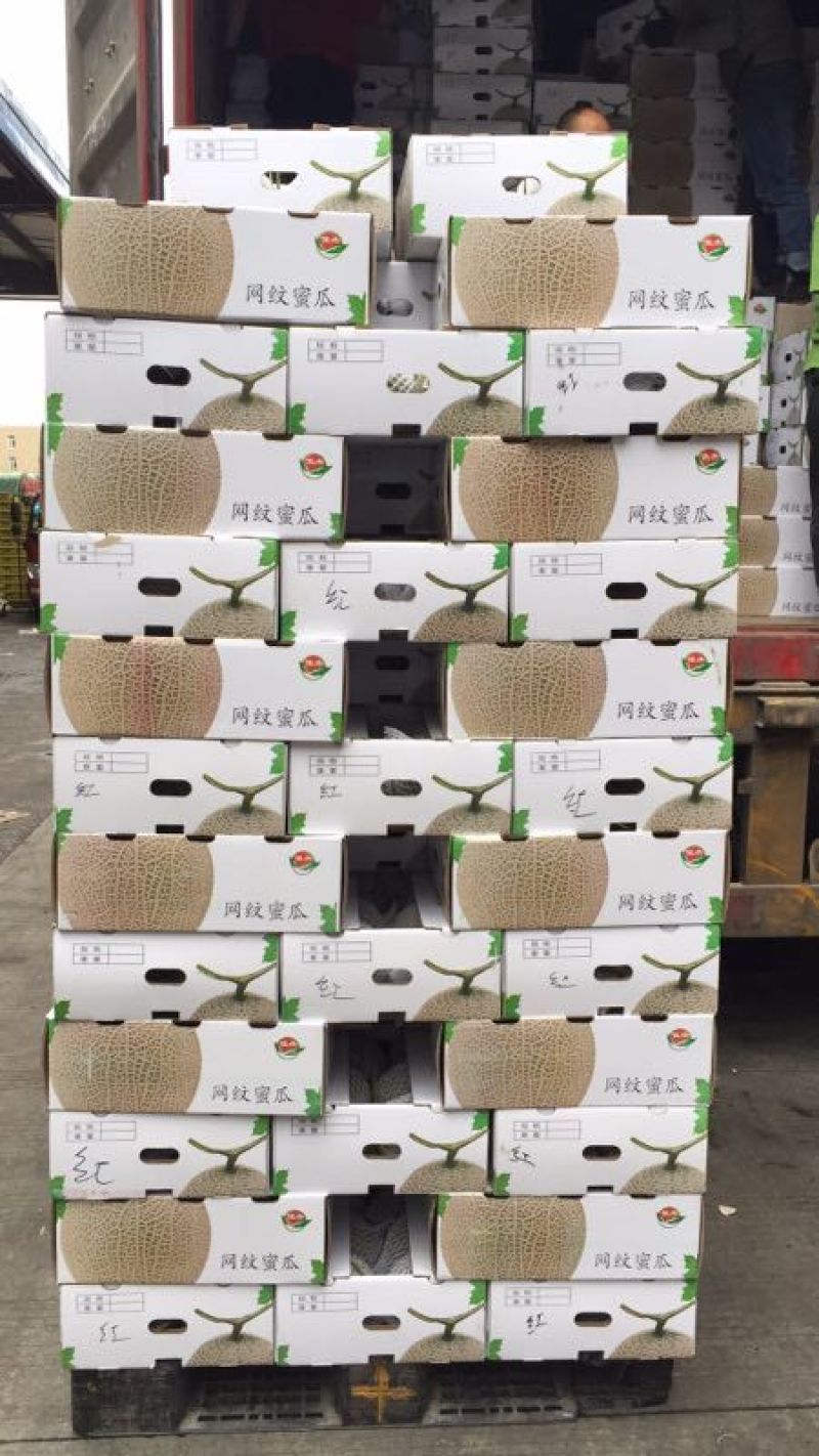 网纹瓜3斤以上椭圆形