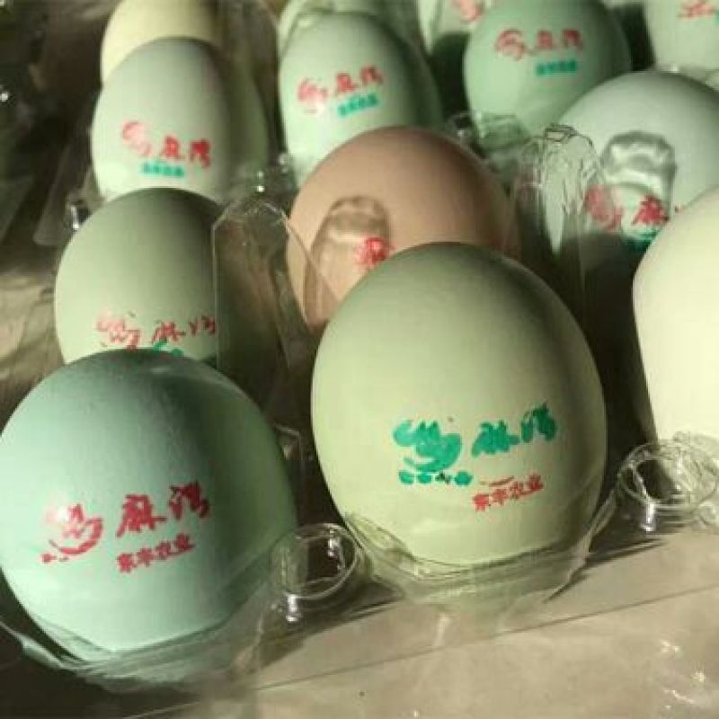 绿壳鸡蛋食用50g以下