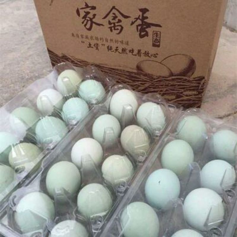 绿壳鸡蛋食用50g以下