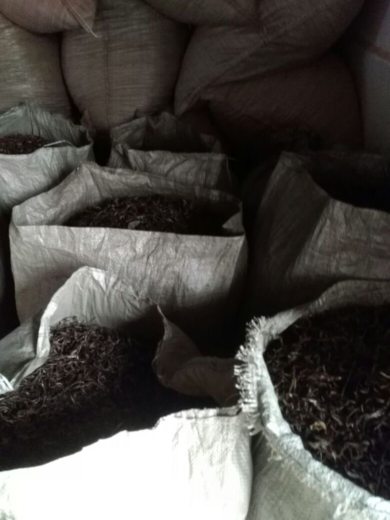 古树茶一级