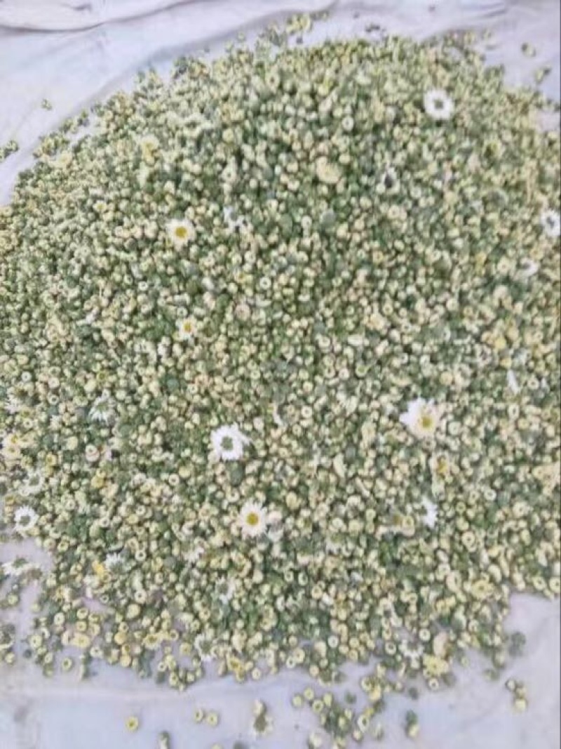 药用菊花散装