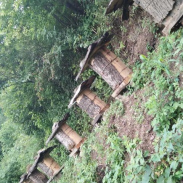 土蜂蜜深山原生态土蜂蜜一年仅割一次0添加无污染