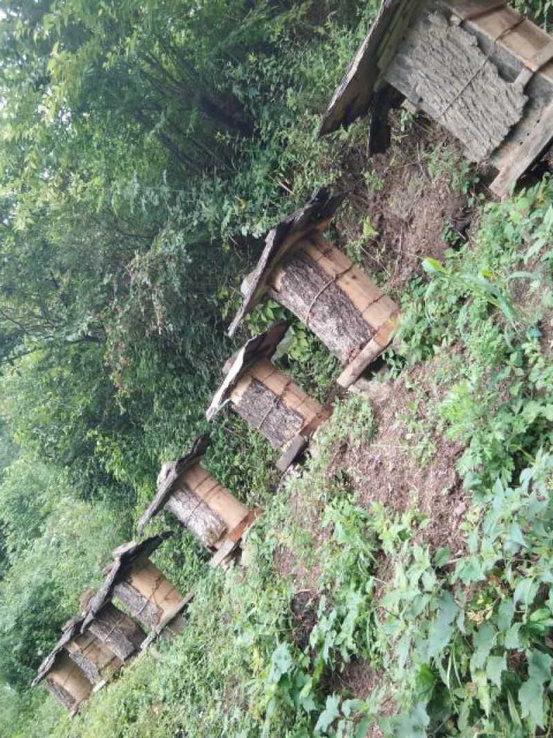 土蜂蜜深山原生态土蜂蜜一年仅割一次0添加无污染