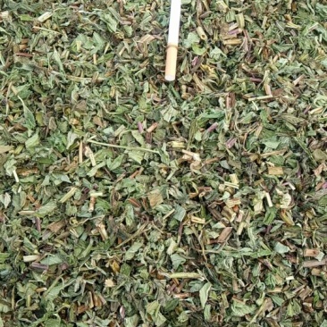 薄荷统片